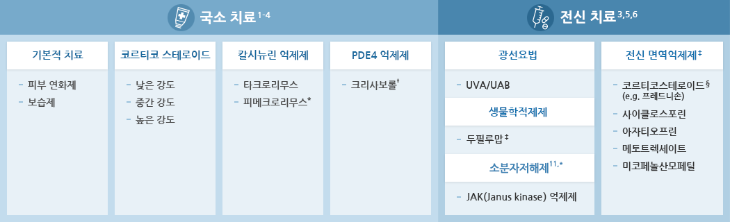 아토피피부염 치료법